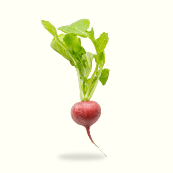turnip